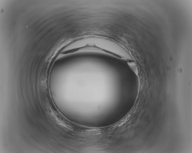 X0000081420050200701261604