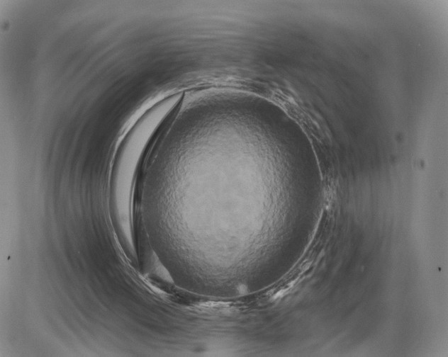 X0000081420052200701261604