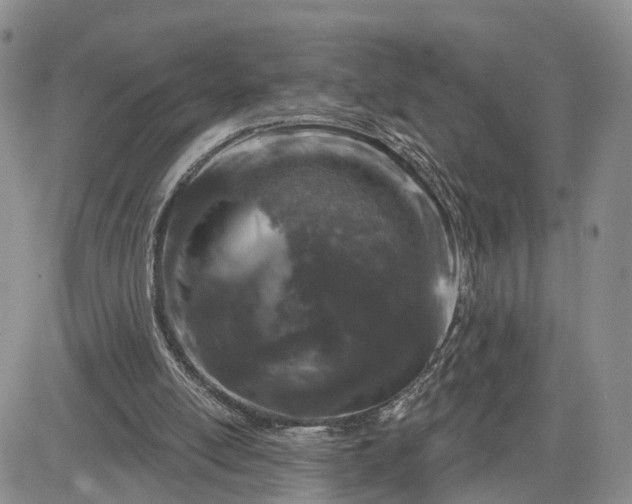 X0000081420054200701261604