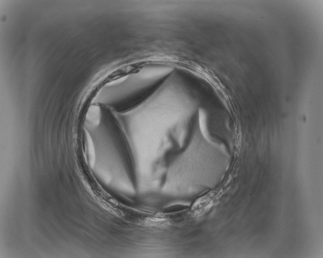 X0000081420055200701261604