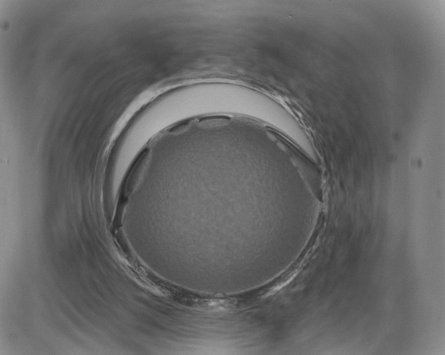 X0000081420056200701261604