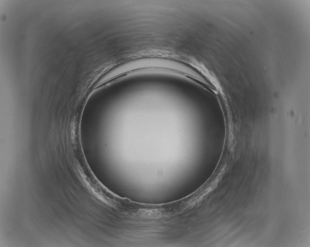 X0000081420057200701261604