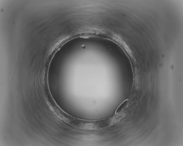 X0000081420058200701261604