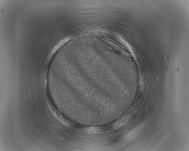 X0000081420059200701261604