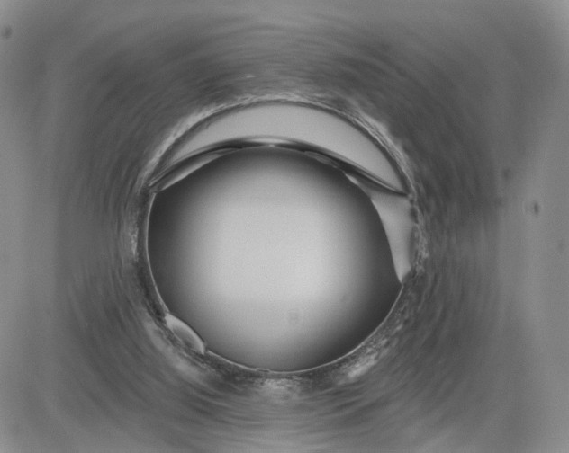 X0000081420060200701261604