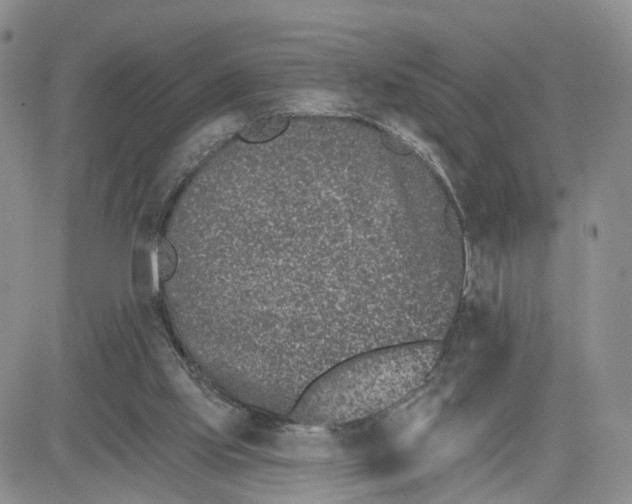 X0000081420061200701261604