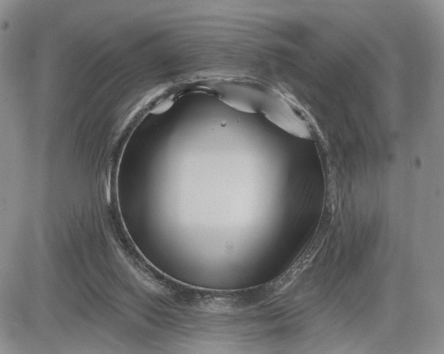 X0000081420062200701261604