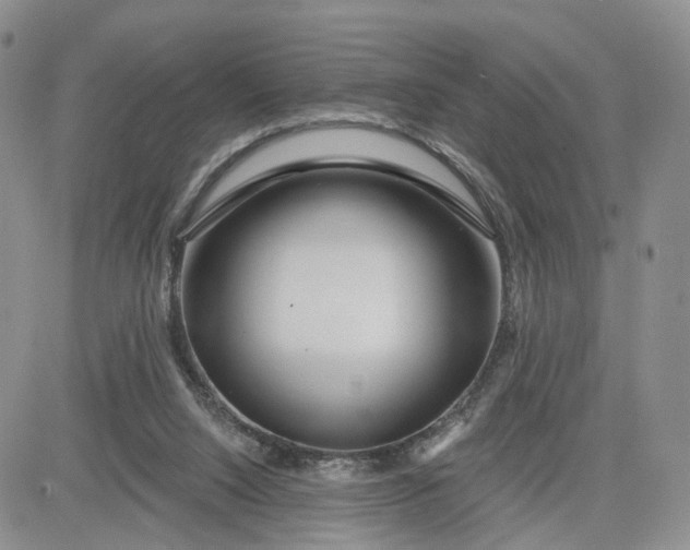 X0000081420064200701261604