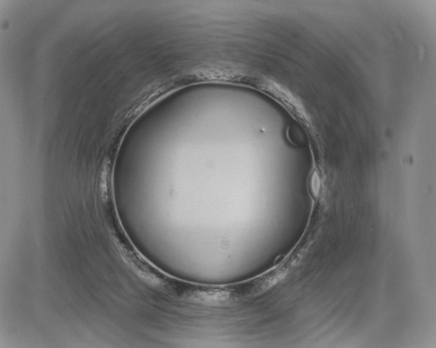 X0000081420065200701261604