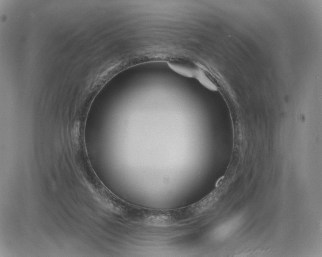 X0000081420066200701261604