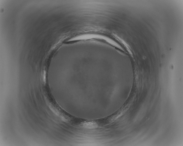 X0000081420067200701261604