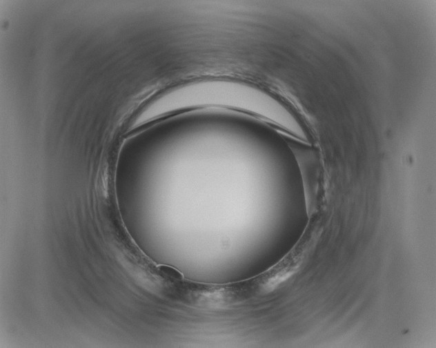 X0000081420068200701261604