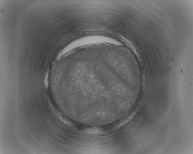 X0000081420069200701261604