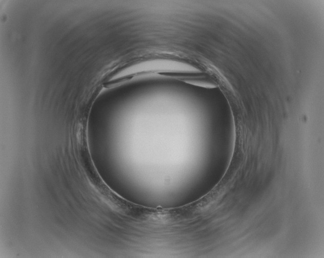 X0000081420071200701261604