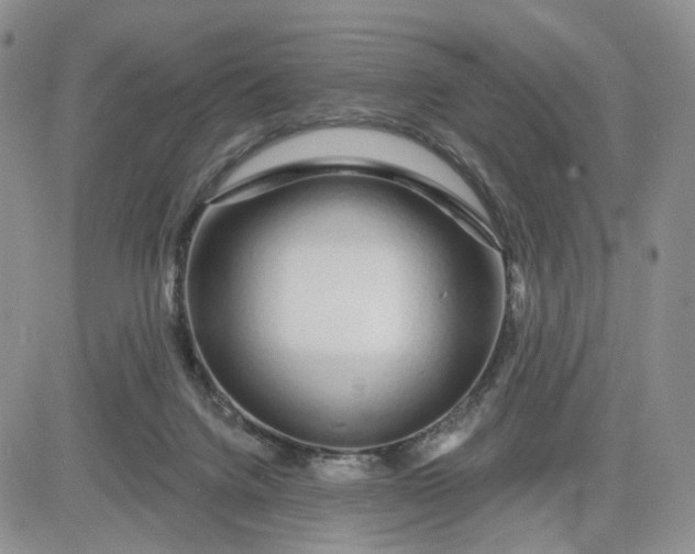 X0000081420072200701261604