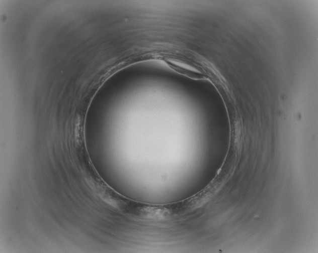 X0000081420073200701261604