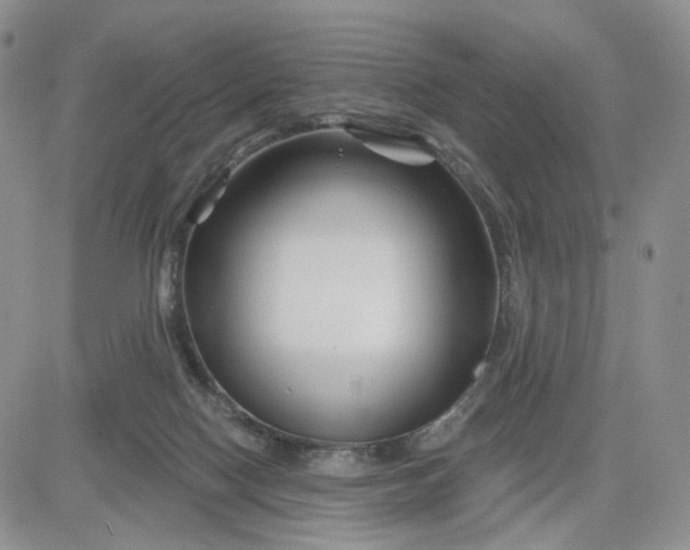 X0000081420074200701261604