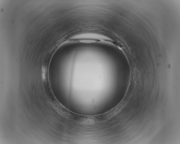 X0000081420075200701261604