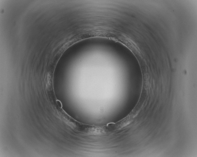 X0000081420077200701261604