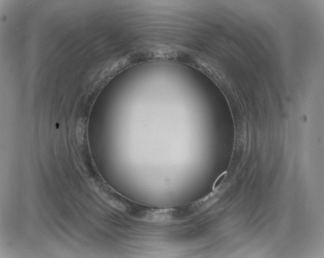 X0000081420078200701261604