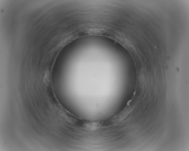 X0000081420079200701261604