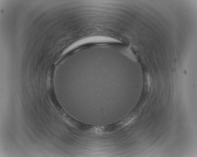 X0000081420080200701261604