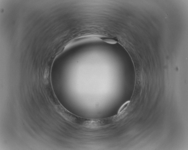 X0000081420082200701261604