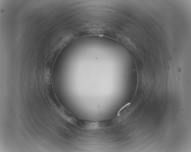 X0000081420083200701261604