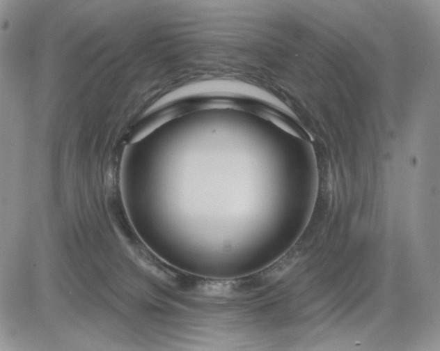 X0000081420084200701261604