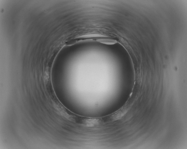 X0000081420085200701261604