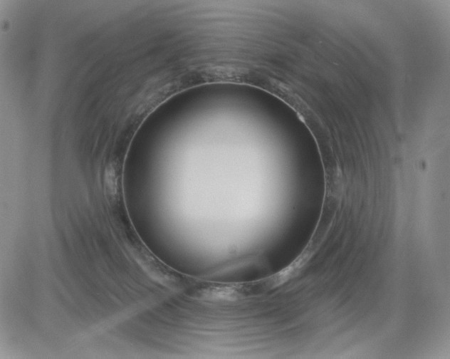 X0000081420086200701261604