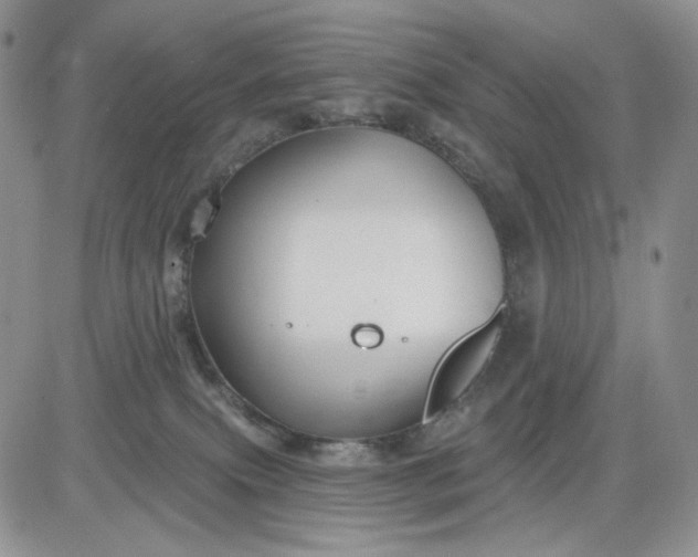 X0000081420087200701261604