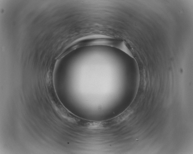 X0000081420088200701261604