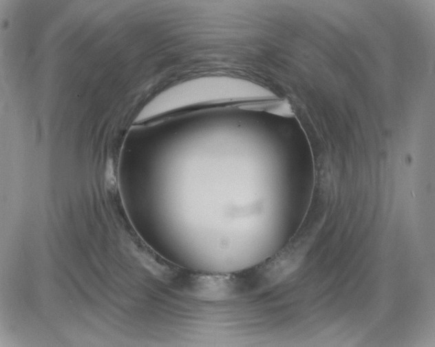 X0000081420089200701261604