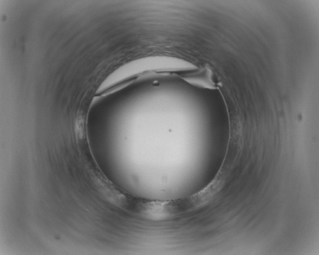 X0000081420090200701261604