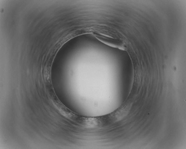 X0000081420091200701261605