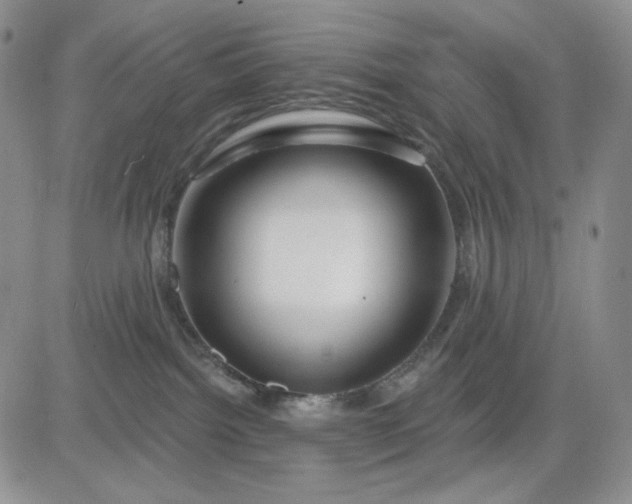 X0000081420092200701261605