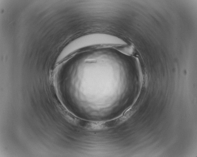 X0000081420093200701261605