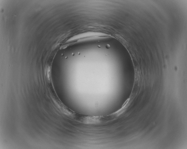 X0000081420094200701261605