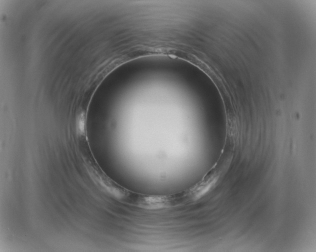 X0000081420095200701261605