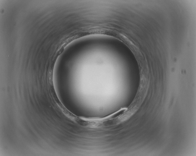 X0000081420096200701261605