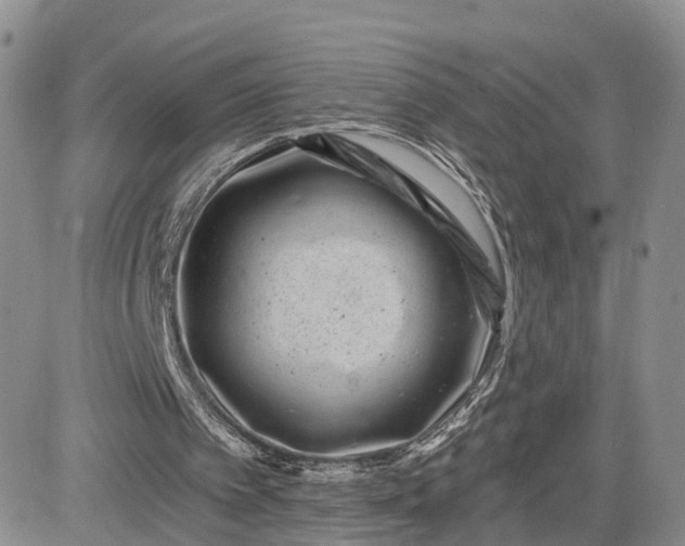 X0000081420097200701261604