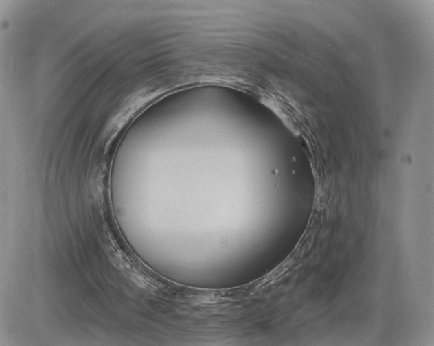 X0000081420098200701261604