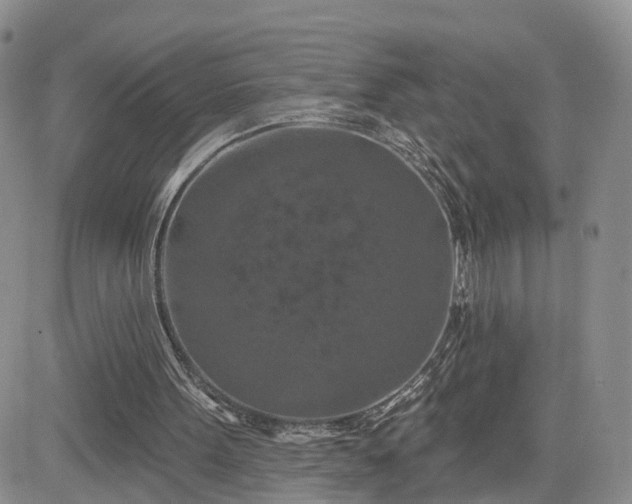 X0000081420099200701261604