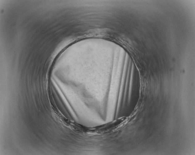 X0000081420100200701261604