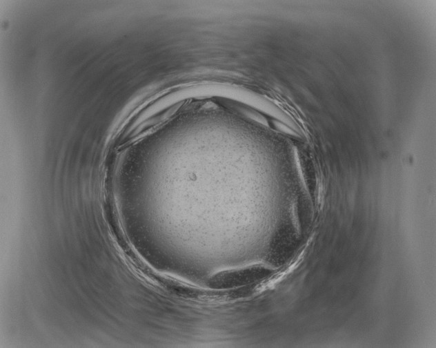 X0000081420101200701261604