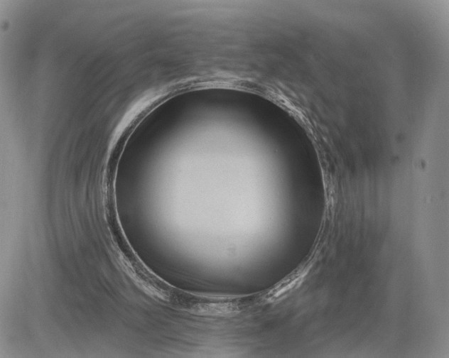 X0000081420102200701261604