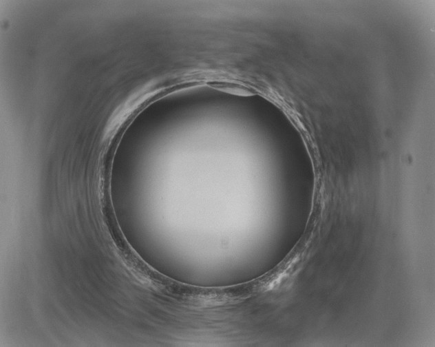 X0000081420103200701261604