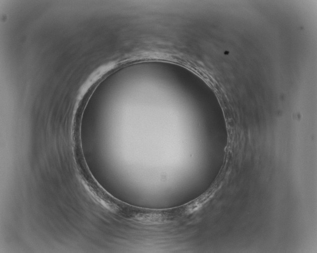 X0000081420104200701261604