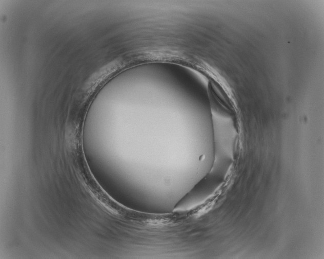 X0000081420105200701261604